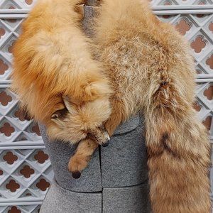 Real Vintage Fox Stole